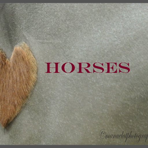Horses-copyright