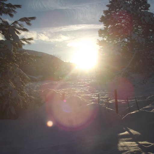 Winter Solstice 2012