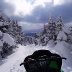 sled trail pic