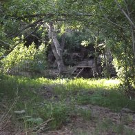 The Creek Trail Toward Cabin