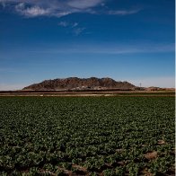 Yuma County, Arizona, Becomes Fertile Ground for Covid-19