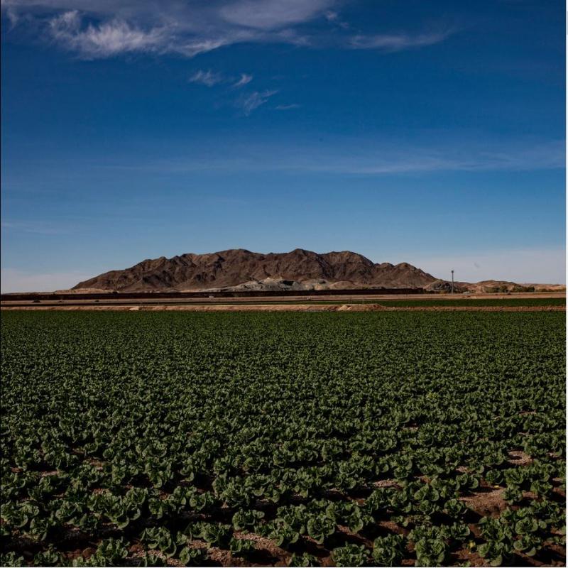 Yuma County, Arizona, Becomes Fertile Ground for Covid-19