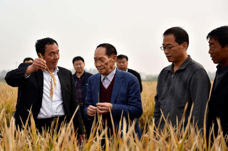 China's Yuan Longping dies; rice research helped feed world