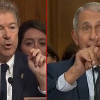 Rand Paul Unleashes On Dr. Fauci, Immediately Turns Him Into a Triggered Hysterical Mess