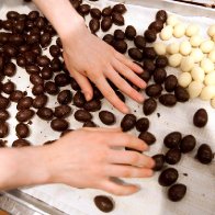 Canadian scientists find key to high-quality, eco-friendly chocolate