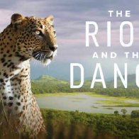 Crowdfunded Faith-Based Nature Documentary Series ‘The Riot and the Dance’ Celebrates the Creator, His Creation