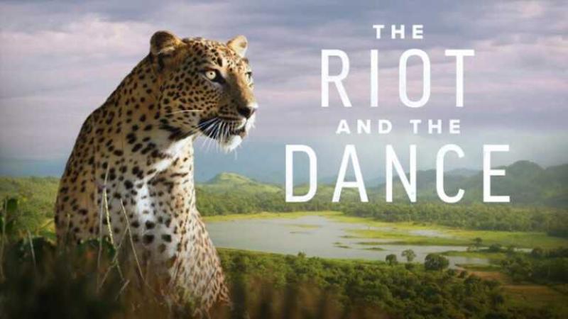 Crowdfunded Faith-Based Nature Documentary Series ‘The Riot and the Dance’ Celebrates the Creator, His Creation