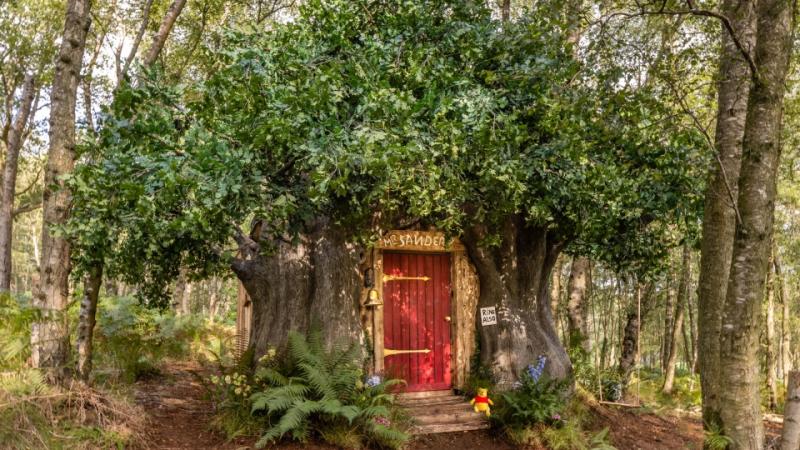 Winnie the Pooh's tree house for rent at this 'Bearbnb'