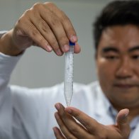 Chinese scientists create starch from scratch