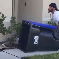 Wild video shows Florida transplant trapping alligator his 'own way' — in a garbage bin