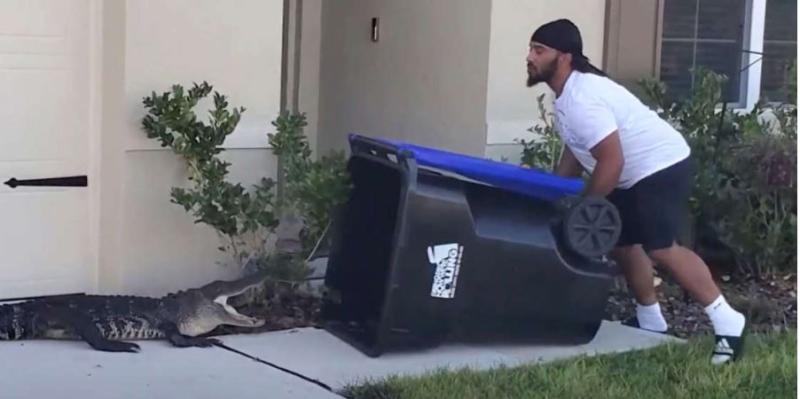 Wild video shows Florida transplant trapping alligator his 'own way' — in a garbage bin
