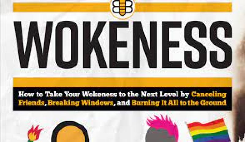 Babylon Bee makes fun of the Left in newly released ‘Guide to Wokeness’