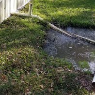 Alabama Neighborhoods With Raw Sewage Flooding Spark Racial Equality Investigation