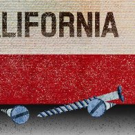 California state IDs for illegals set a dangerous precedent