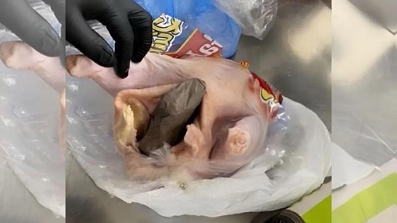 TSA agents find gun inside raw chicken at Florida airport