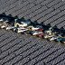Why Don't We Cover Every Parking Lot with Solar Panels?