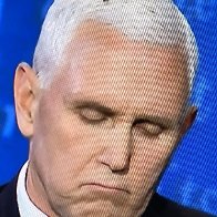 Trump supporters trash 'Judas' Mike Pence as he announces presidential run - Raw Story 