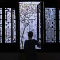 Award-winning photos capture Suzhou gardens