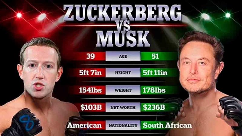 Elon Musk is Afraid to Fight Mark Zuckerberg