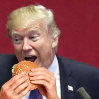 Trump is  A Big Wiener in New Hampshire