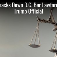 Court Smacks Down D.C. Bar Lawfare Against Trump Official