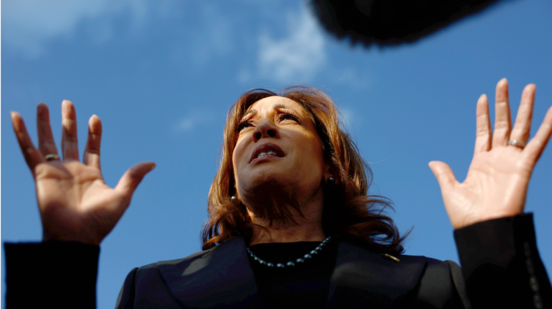 Desperate Democrats cry "misinformation" to squash criticism of Kamala Harris