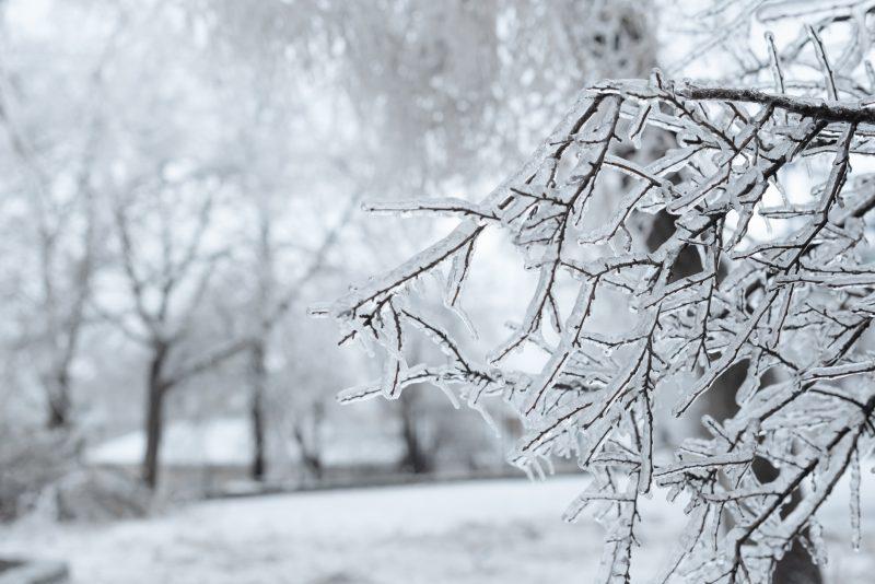 Why you'll no longer see 'Wind Chill Warnings' this winter