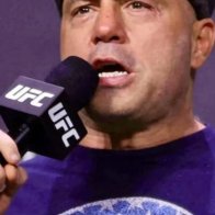 'Off-the-charts arrogance': Joe Rogan pummeled for Harris campaign comment 