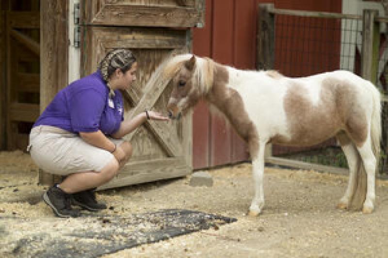 How Zoo School in Ohio is helping teens prep for careers - and college