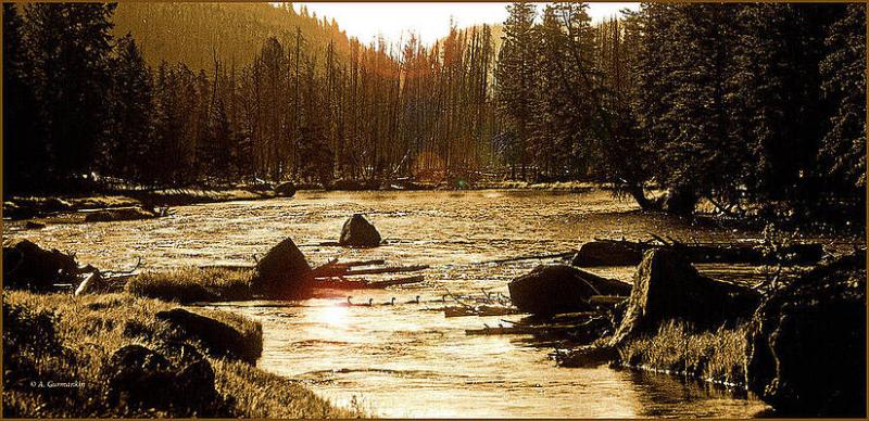 Sepia Tone Imagery Evokes Nostalgia ~ Creative Arts Three Day Weekend