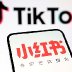 A journey from TikTok to RedNote is a story of talks