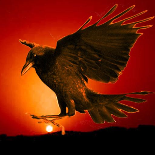 Crow Meris
