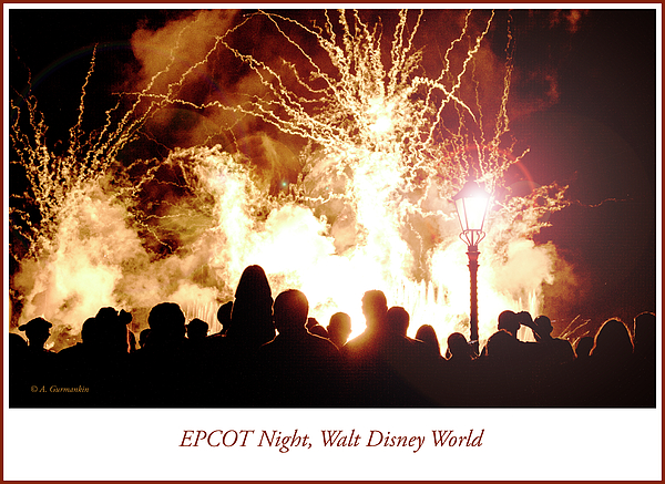 fireworksandaudiencesilhouettesepcotwaltdisneyworldagurmankin.jpg