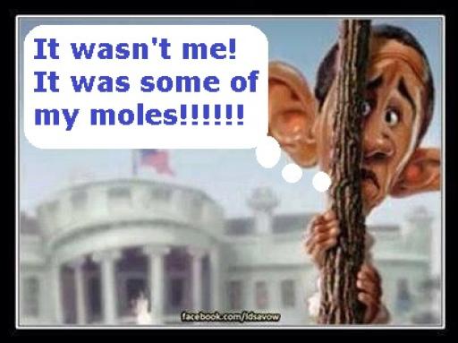 Obama moles.jpg