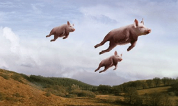 flying pigs.png