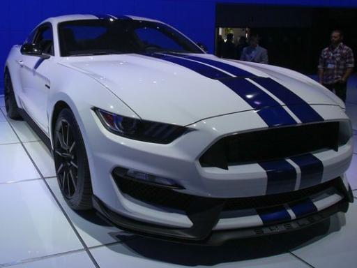111ford shelby.JPG