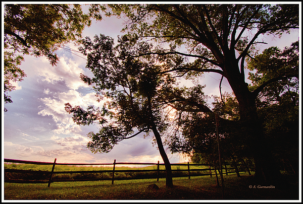 dusktreefencesilhouettesmontgomerycountypennsylvaniaagurmankin.jpg