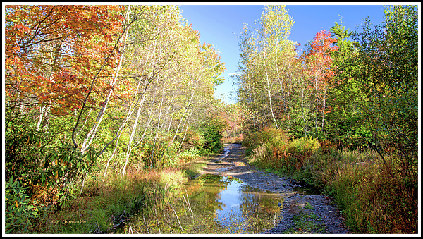 thicketandbackroadinautumnpoconomountainsagurmankin.jpg