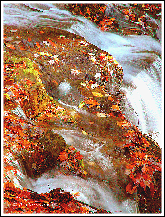 2mountainstreaminautumnagurmankin.jpg