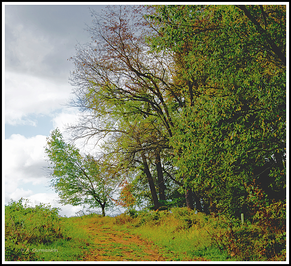 ruralhillsidetrailmontgomerycountypennsylvaniaagurmankin.jpg