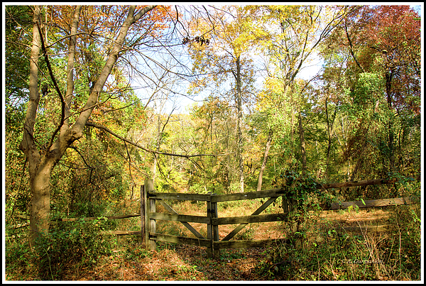 woodenfencebyaruralroadautumnagurmankin.jpg