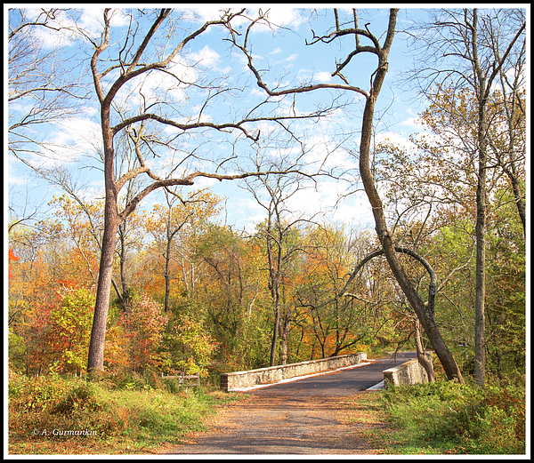 footbridgeinfallmontgomerycountypennsylvaniaagurmankin.jpg