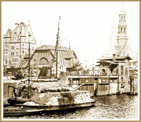 1viewofhamburggermany1903vintagephotographagurmankin.jpg