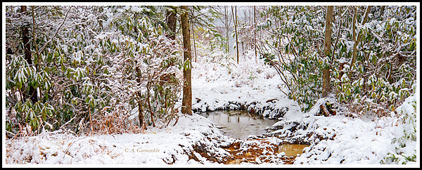 anunamedwoodlandstreaminwinterpoconomountainsagurmankin.jpg