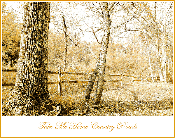 countryroadinautumnagurmankin.jpg