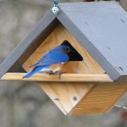 Bluebirds Building Nest - March 25, 2023