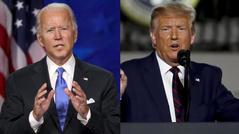 Reasons for Voting for Joe Biden or Donald Trump