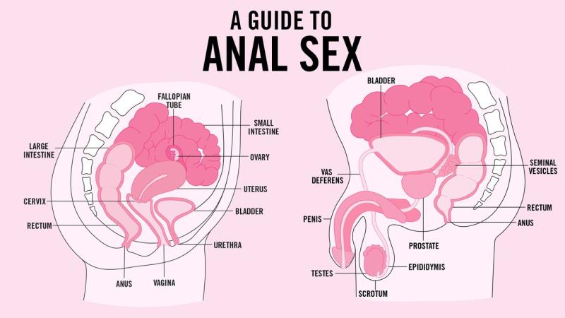 A Guide To Anal Sex: Anal Sex: What You Need to Know