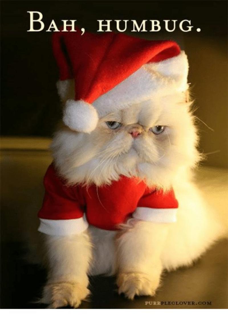 Bah Humbug 