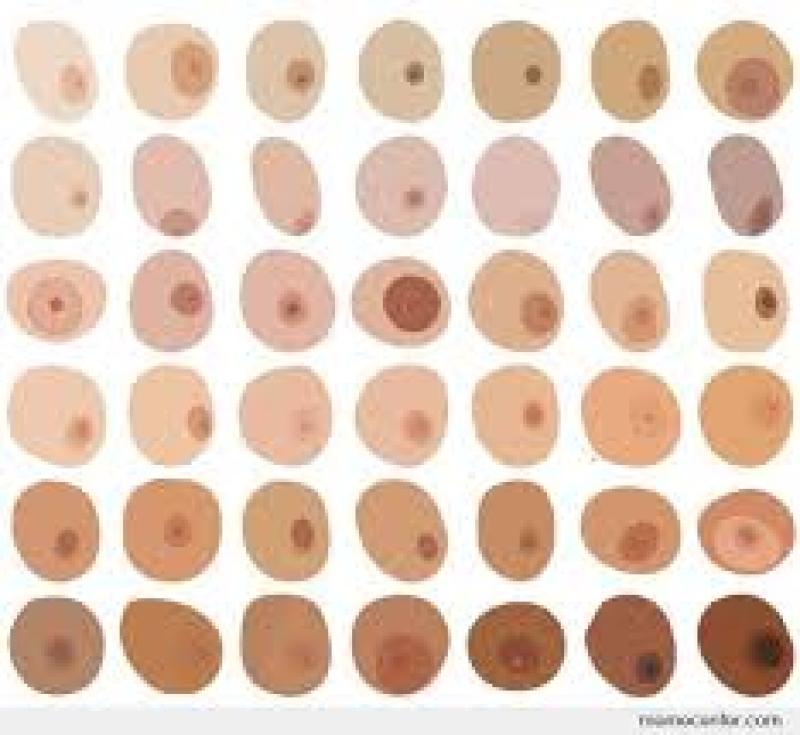 Nipples come in all different shapes, sizes, and colors! In fact, it's  possible to have a combination of two or more types. See all the